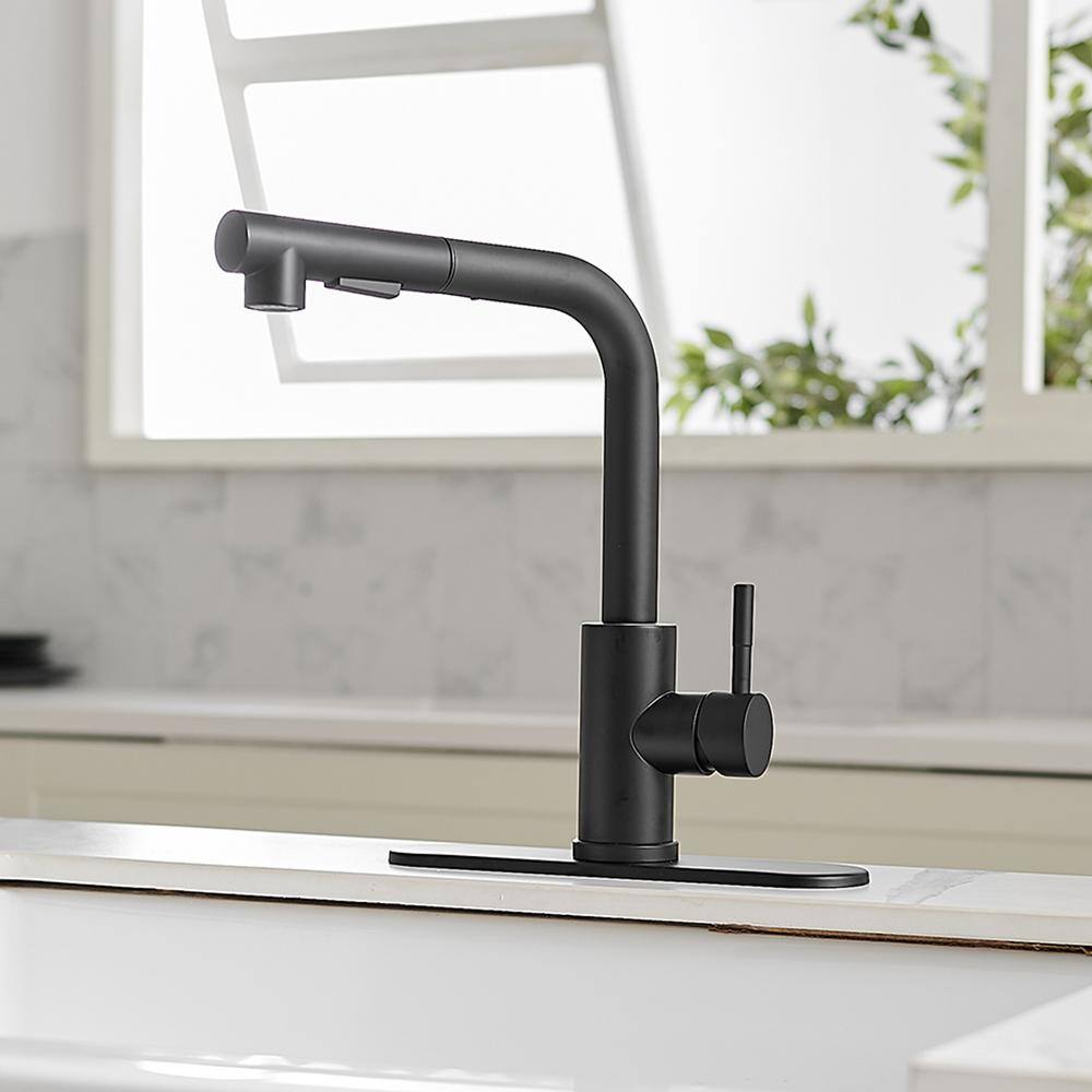 BWE 2 Sprayer Single Hole Single-Handle Pull Out Kitchen Faucet in Matte Black A-94020-Black