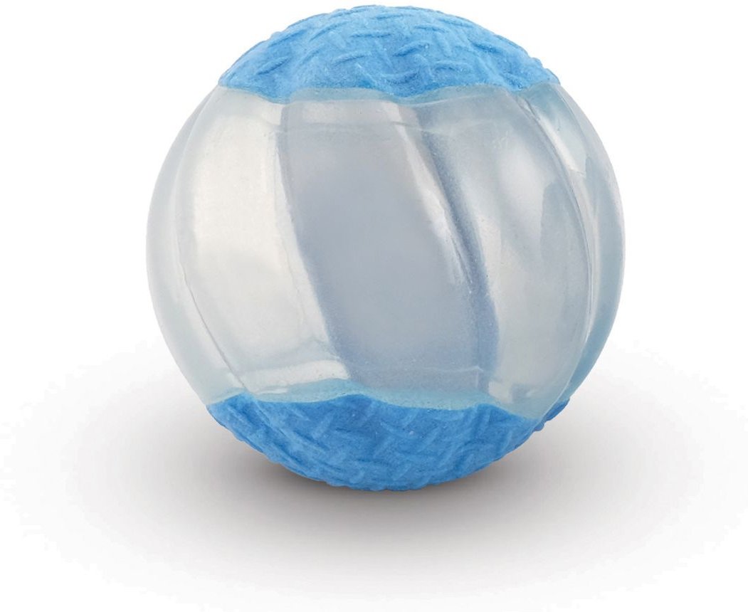 Zeus Duo Ball w/Squeaker and Glow Dog Toy