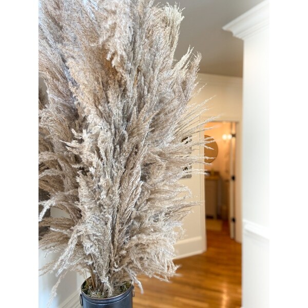 Pampas Grass Natural Taupe