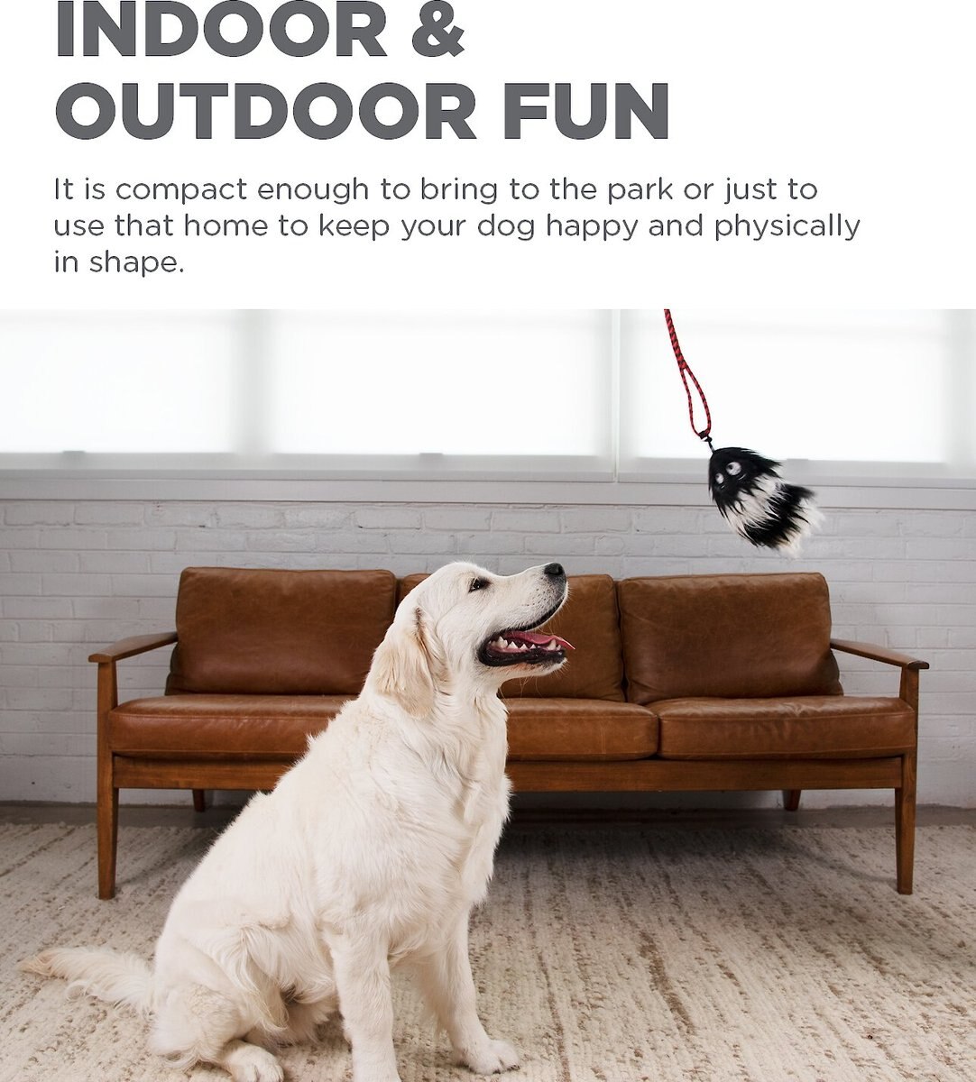 Outward Hound Tail Teaser with Refill Dog and Cat Teaser Toy