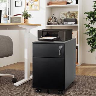 cadeninc Black Mobile Metal File Cabinet with 2-Drawer and Lock Fully Assembled SIN-LQW1-2406