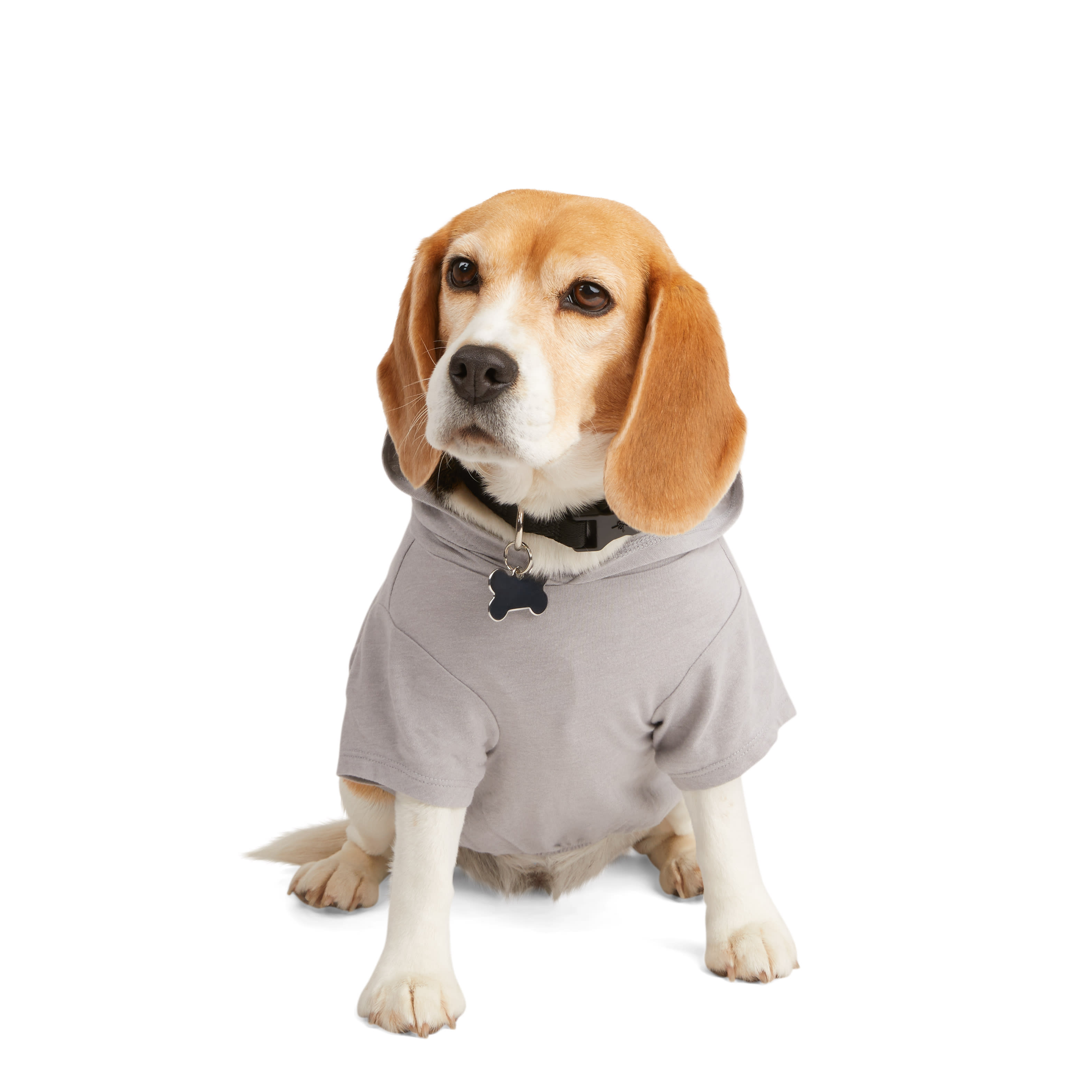 YOULY The Snuggle is Real Dog Hoodie， XX-Small