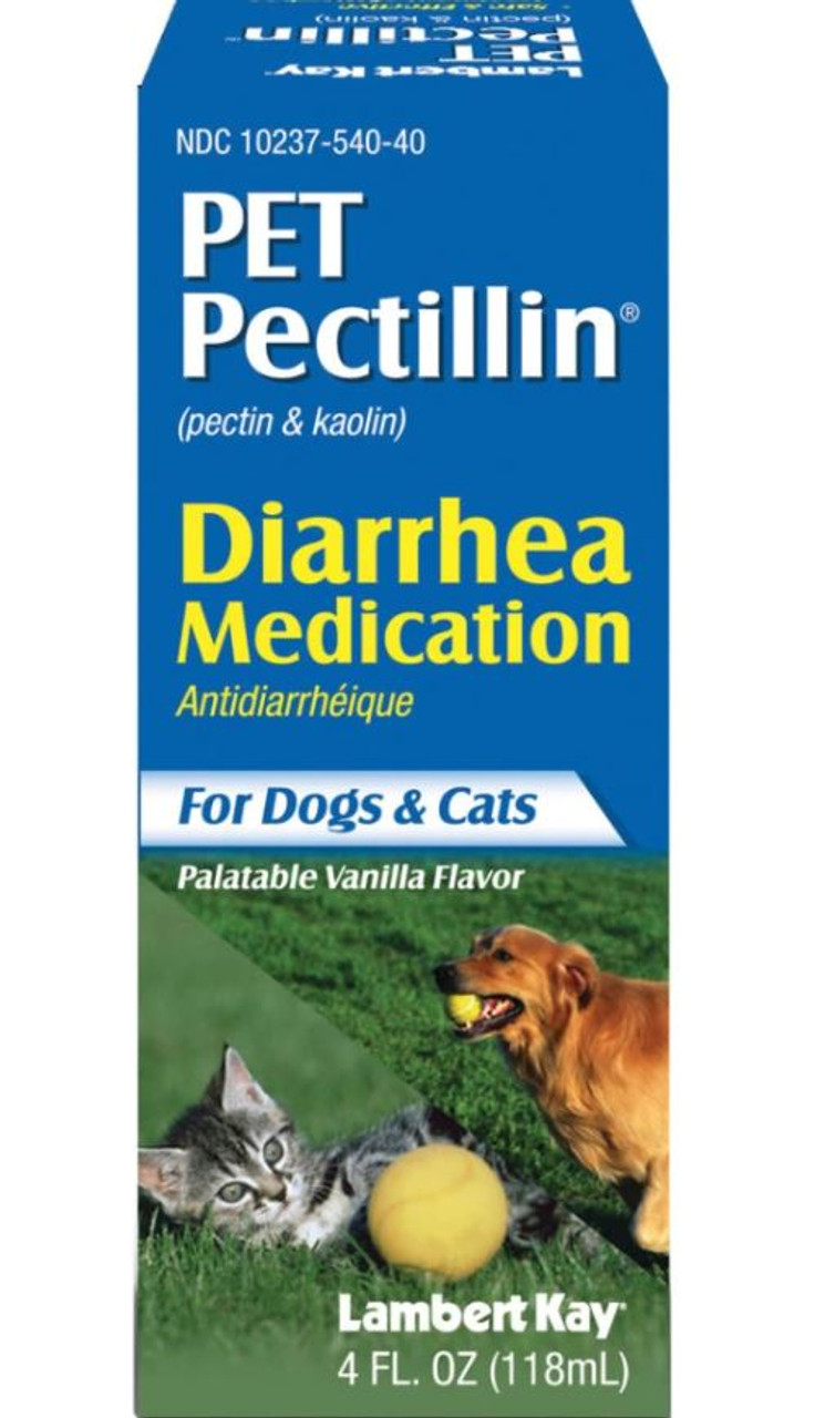 Pectillin Diarrhea Medication For Dogs and Cats， 4 Oz.