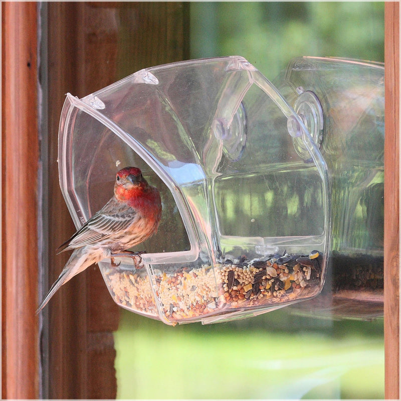 WINDOW BIRD FEEDER CLEAR