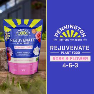 Pennington 4 lbs. Rejuvenate Rose and Flower Plant Food 4-6-3 100546880