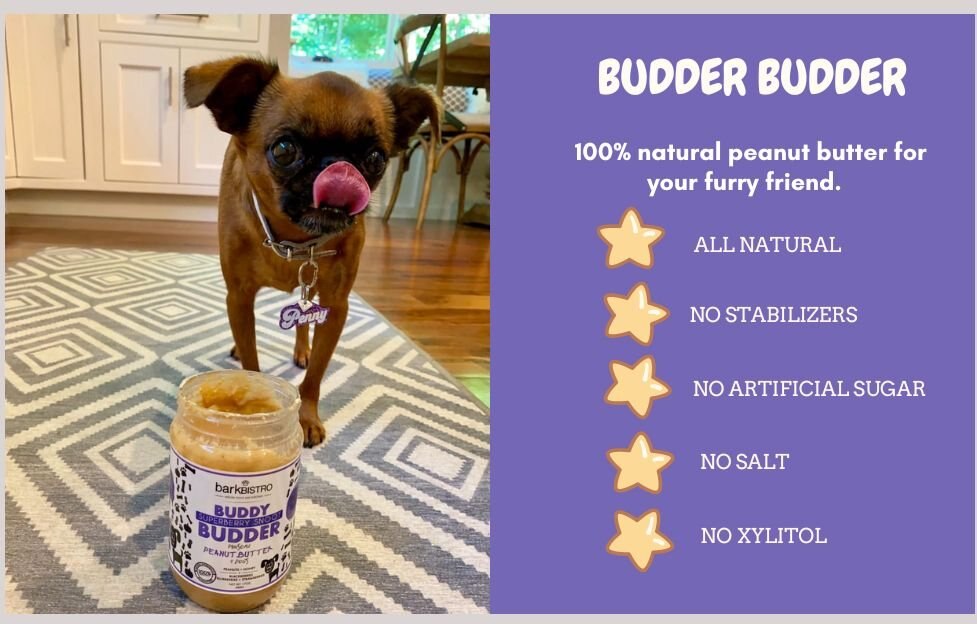 Bark Bistro Company Buddy Budder Superberry Snoot Peanut Butter Lickable Dog Treat， 17-oz jar