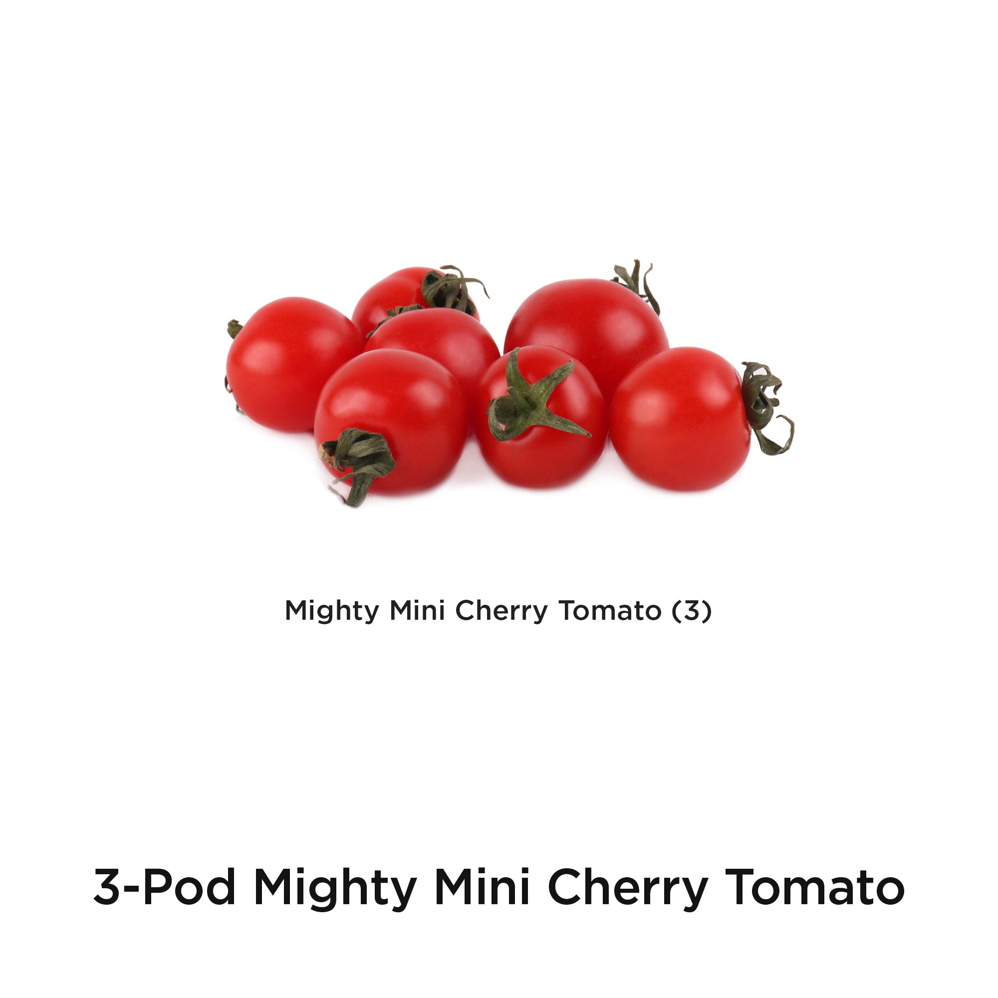 AeroGarden Mighty Mini Cherry Tomato Seed Pod Kit， 3-Pod， for AeroGarden Hydroponic Growing System