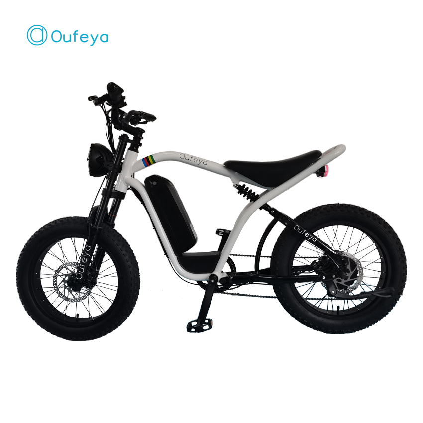 2023 new retro vintage super Electric Hybrid Bike  fat tire 20 inch 1000W ebike 48V 16AH/26AH long range e bike