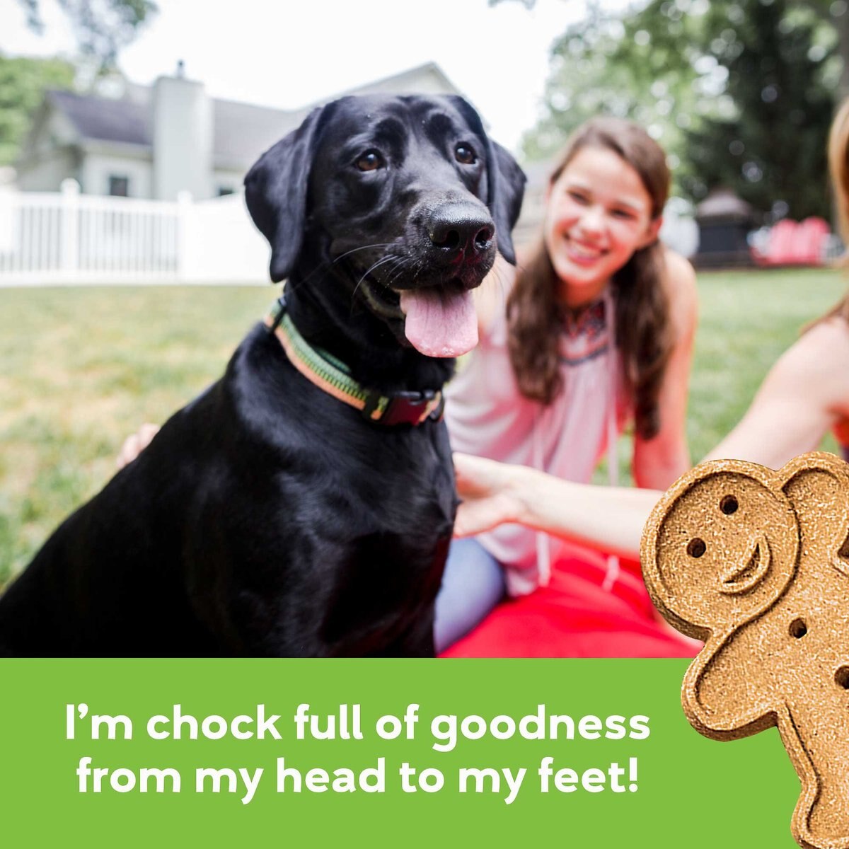 Buddy Biscuits Grain-Free Soft and Chewy with Roasted Chicken Dog Treats