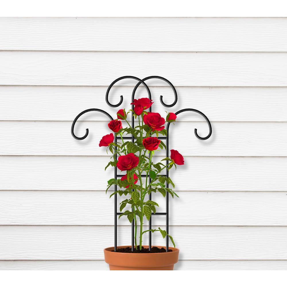 Vigoro 24 in. H Flourish Pot Trellis in Black 87364