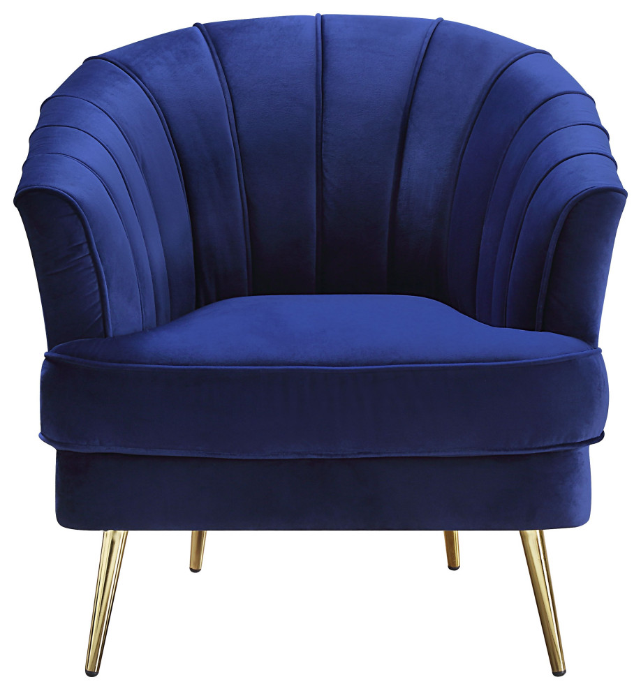 ACME Eivor Chair  Blue Velvet   Midcentury   Armchairs And Accent Chairs   by Acme Furniture  Houzz