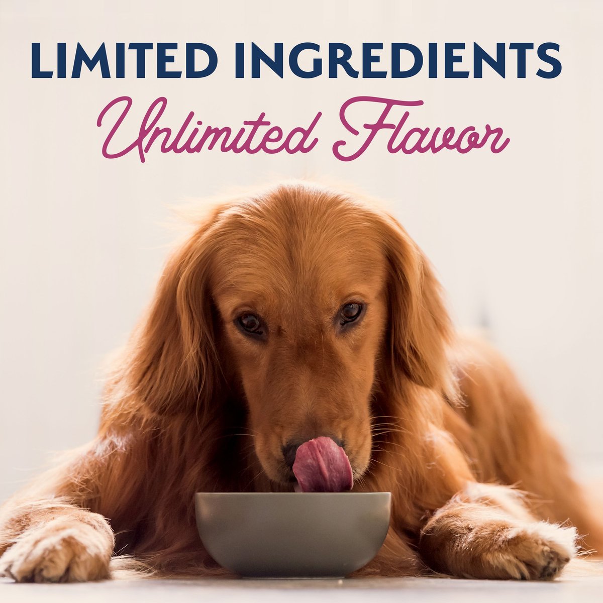 Natural Balance Limited Ingredient Reserve Sweet Potato and Venison Recipe Wet Dog Food