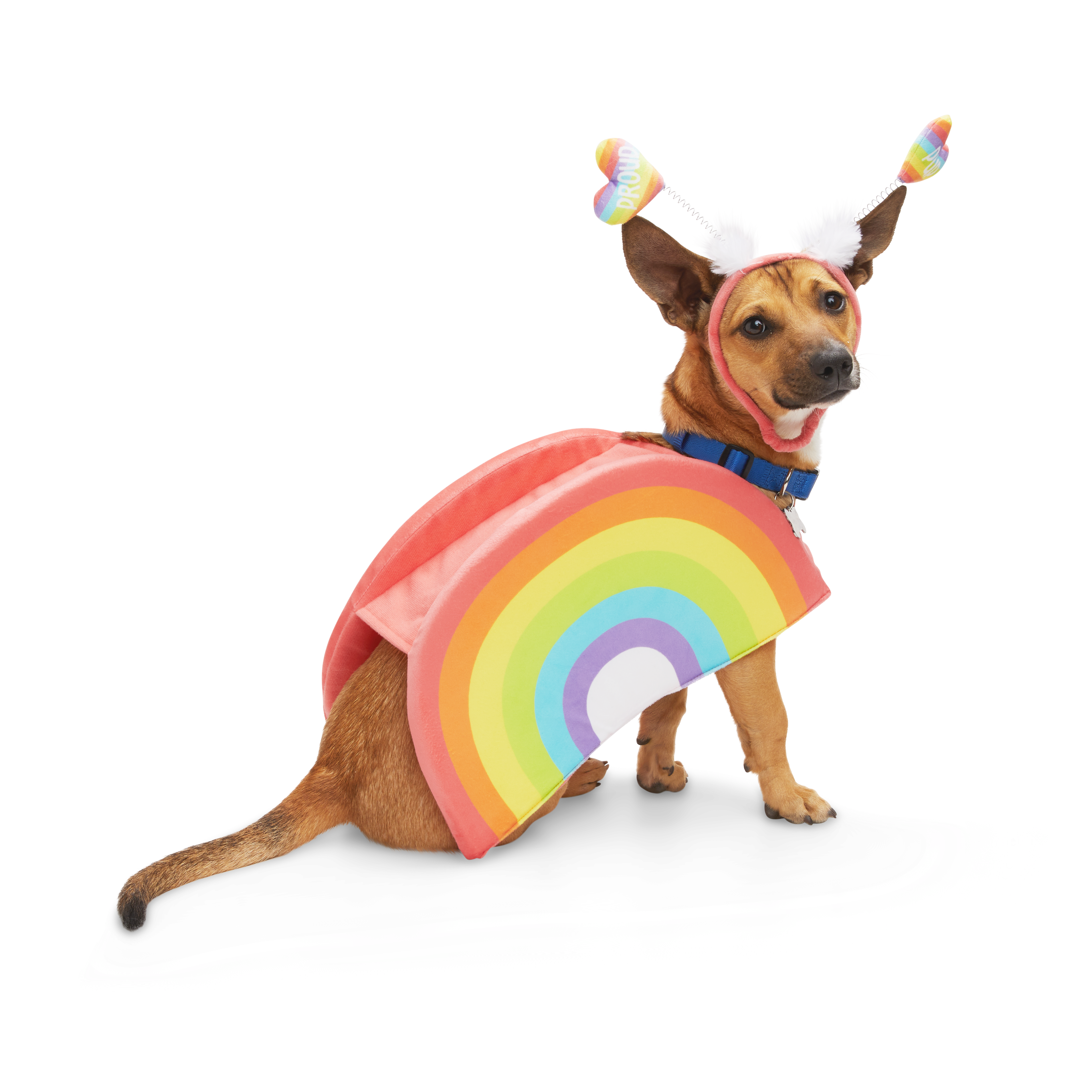 YOULY Pride Rainbow Dog Costume， X-Small