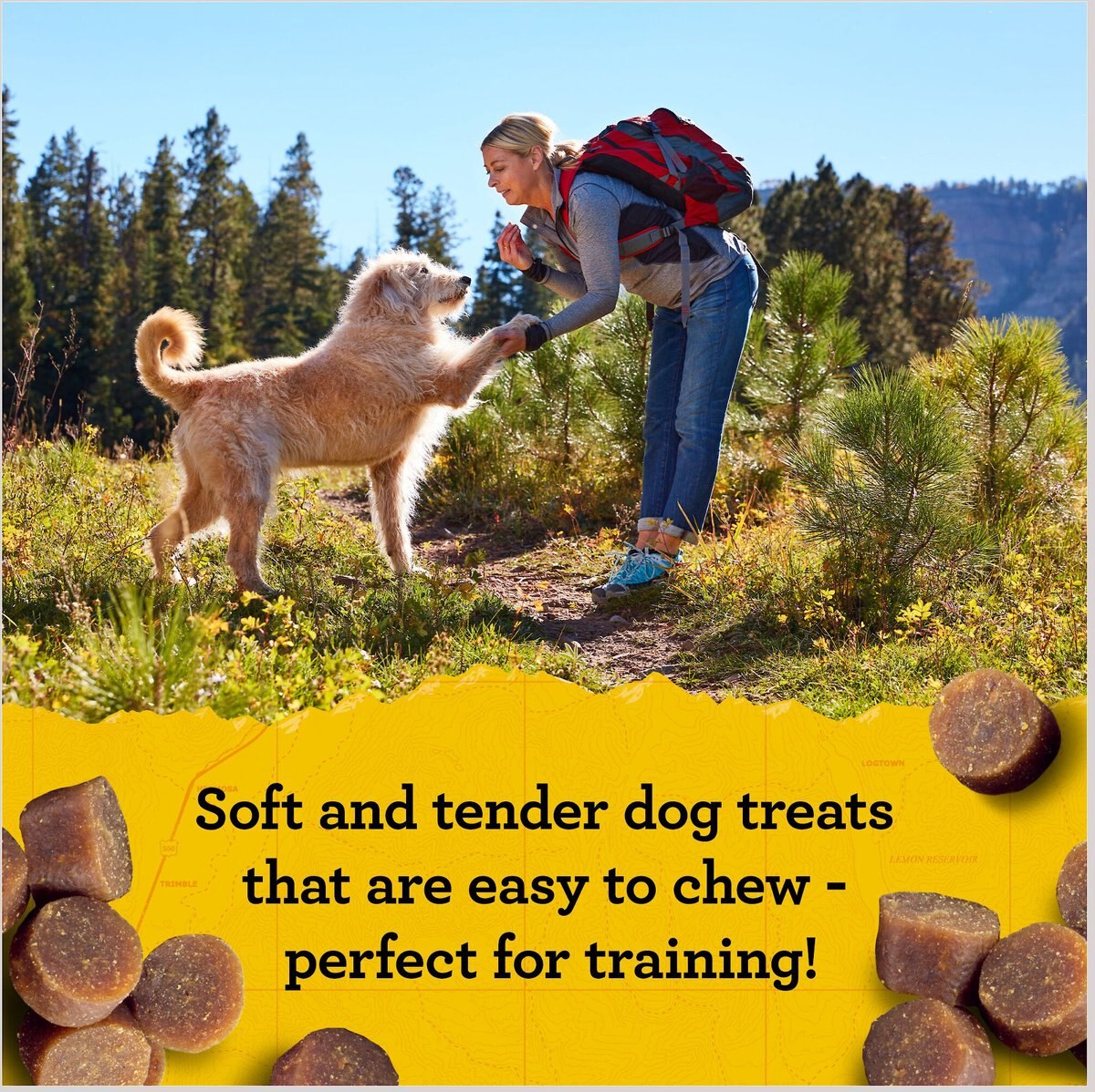 Zuke's Mini Naturals Pork Recipe Training Dog Treats