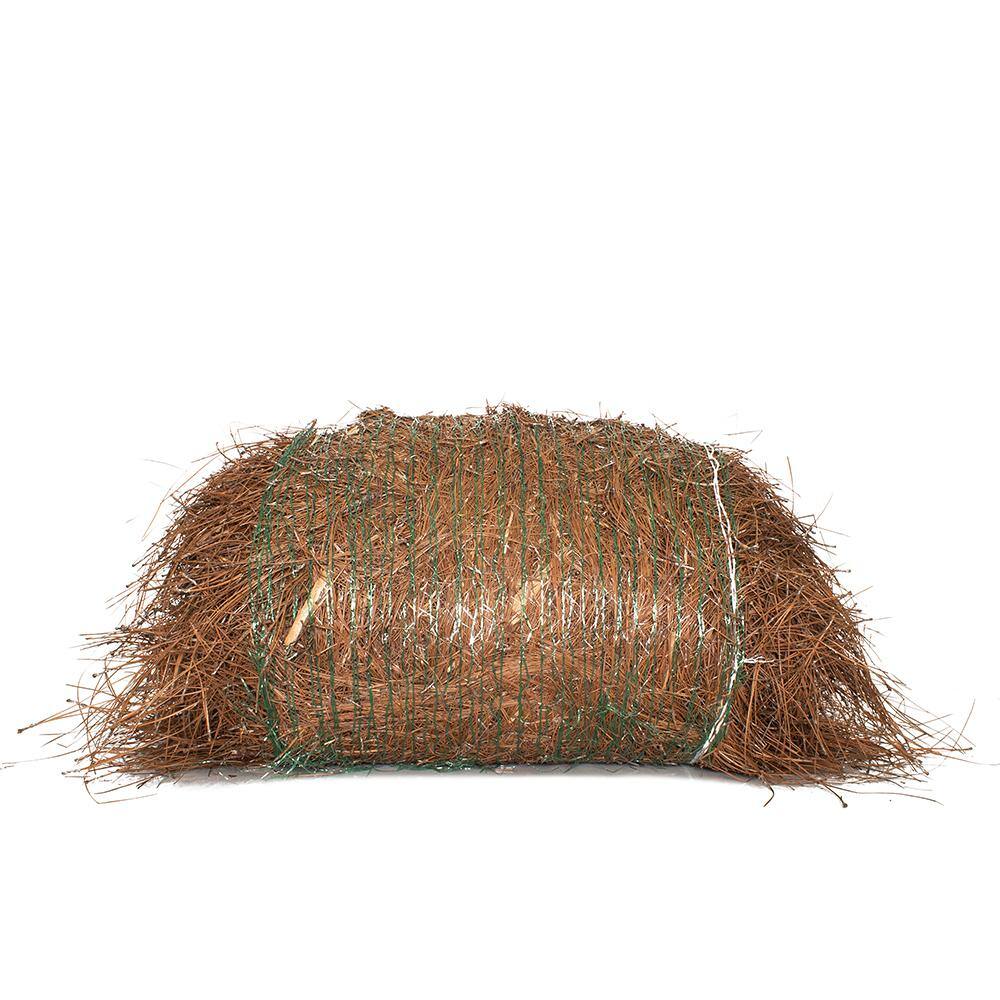 national PLANT NETWORK Long Leaf Pine Straw Bale HD1379