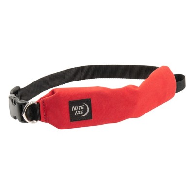 Nite Ize RadDog All-In-One Collar and Leash