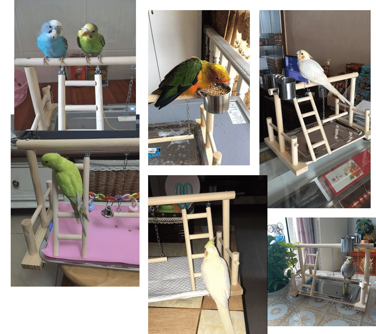 QBLEEV Parrots Playstand Bird Playground Wood Perch Gym Stand Playpen Ladder with Toys Exercise Playgym for Conure Lovebirds