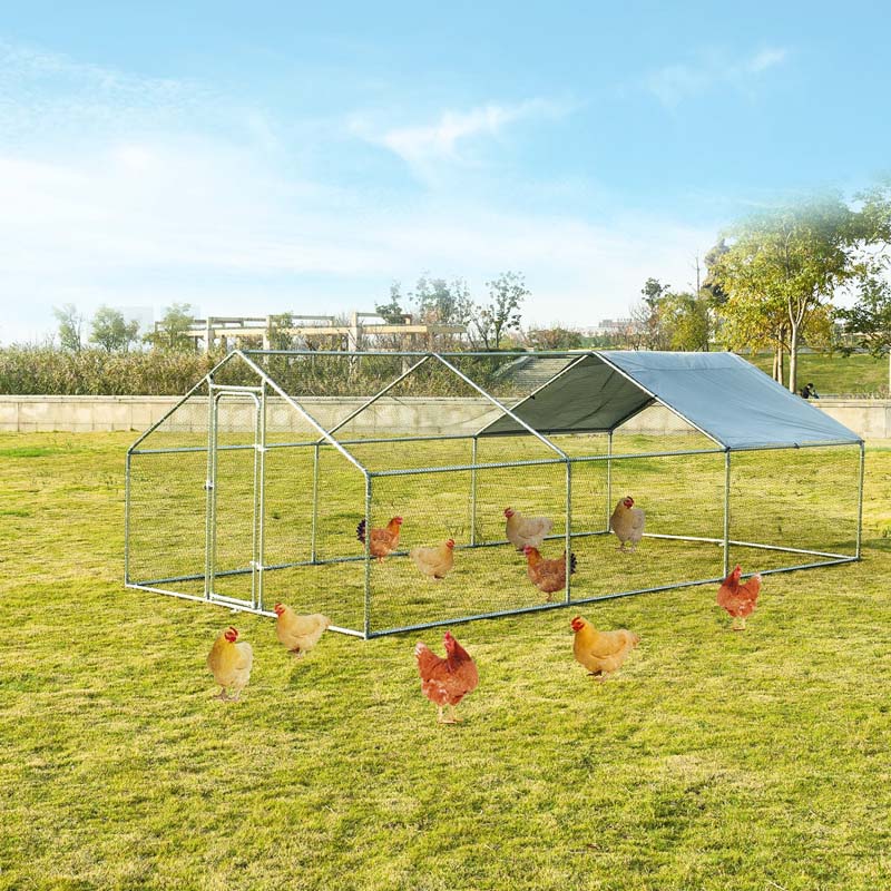 10' x 20' x 6.5' Galvanized Metal Large Walk-in Chicken Coop Cage Runs Hen House with Cover & Lockable Door