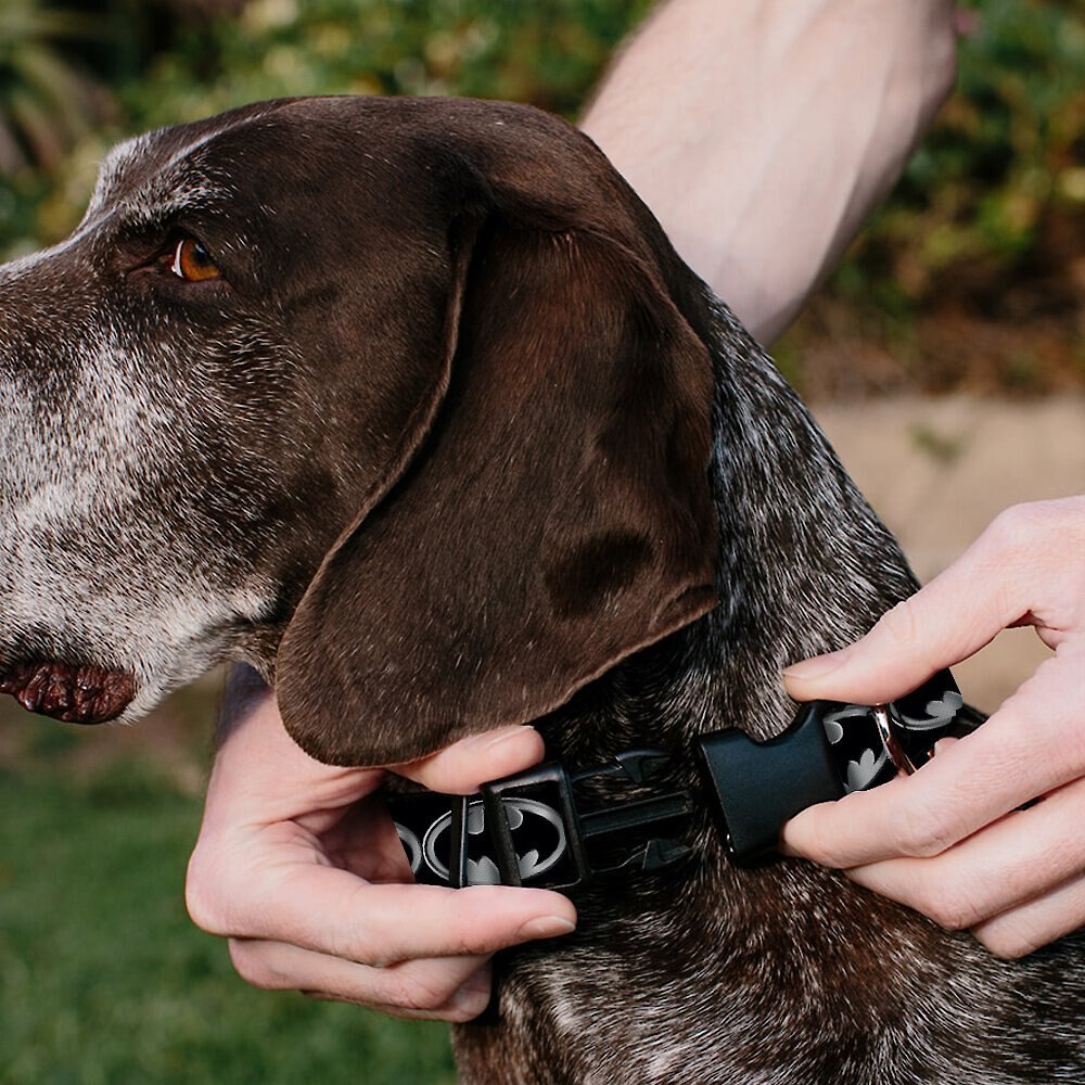 Buckle-Down DC Comics Batman Shield Personalized Dog Collar