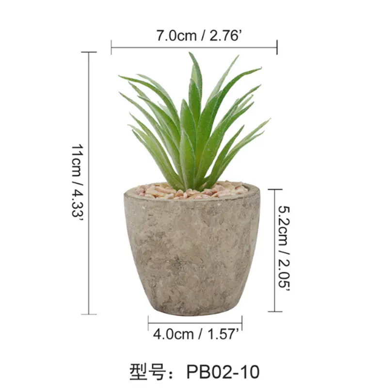 Livingroom Wholesale Succulent Plant Pot Gift for Indoor Home and Office Decoration