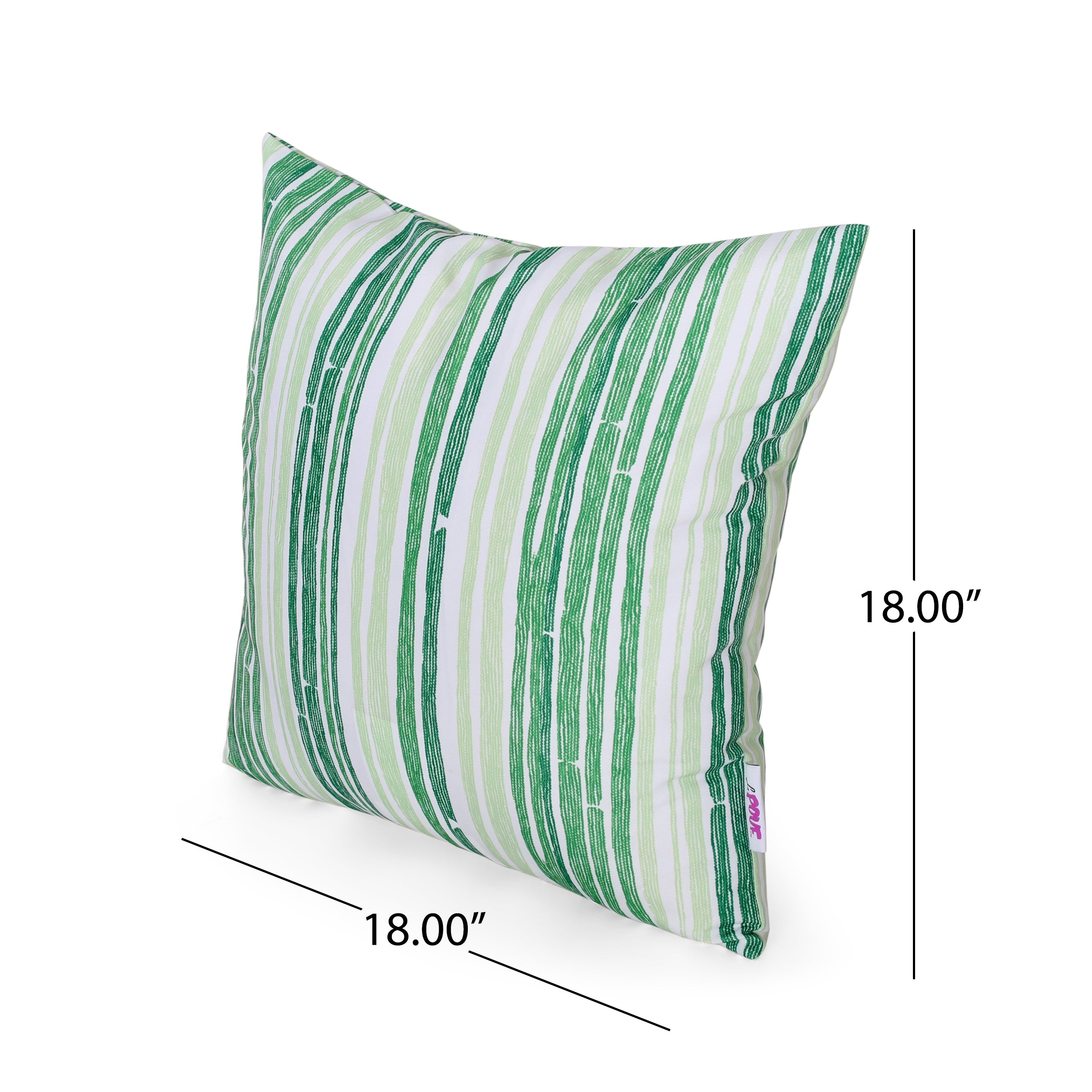 Nayah Modern Indoor Throw Pillow