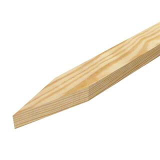 Grade Stakes Pine (12-Pack) (Common: 1 in. x 2 in. x 1 ft. Actual: .562 in. x 1.375 in. x 11.5 in.) 460219