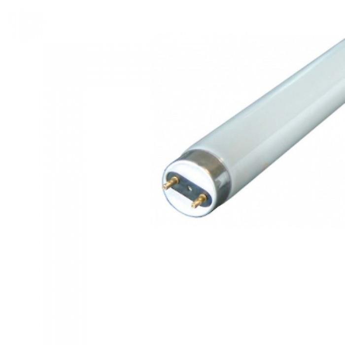 Eveready 2ft Triphosphor Tube 840