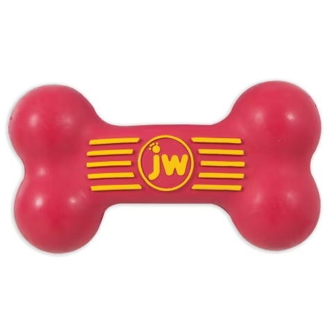 JW iSqueak Bone Dog Toy - Assorted Colors