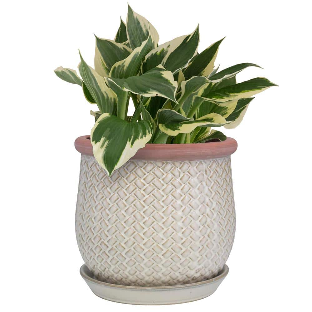 Trendspot 8 in. Chevet Off-White Ceramic Planter ECR01641S-08W