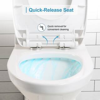 HOROW 1-piece 0.8 GPF1.28 GPF High Efficiency Dual Flush Elongated Toilet in. White Soft-Close Seat Included ADA Height HR-0138