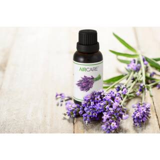 AIRCARE Lavender Essential Oil EOLAV30