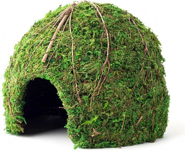 Galapagos Mossy Dome Reptile and Amphibian Terrarium Accessory， Fresh Green