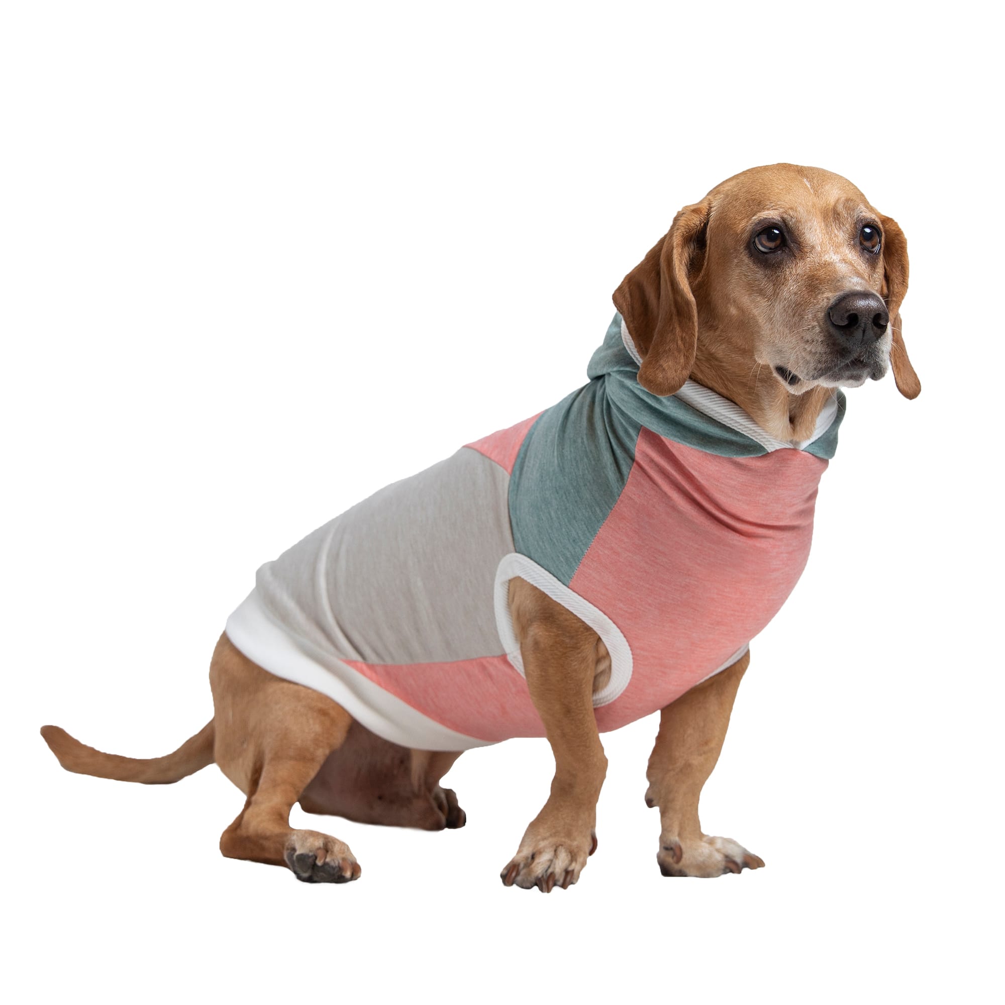 Long Dog Clothing Co. The Surfer II Sleeveless Lightweight Hoodie Dog Shirt， X-Small