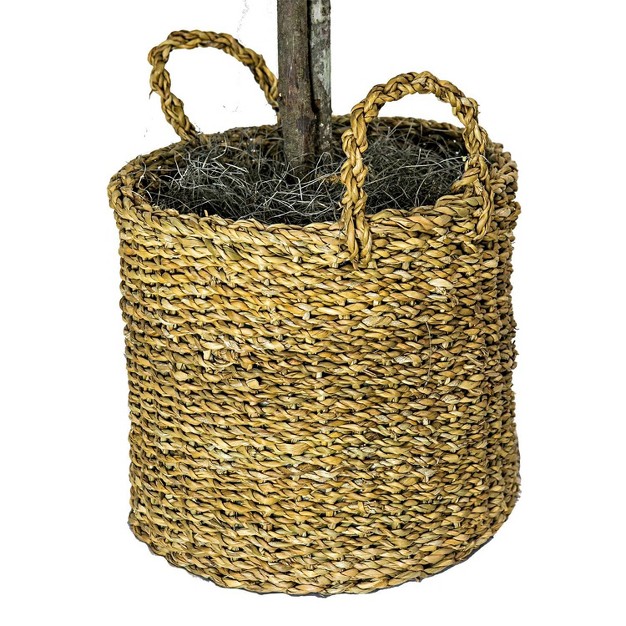 Artificial Ficus Tree In Basket - Lcg Florals