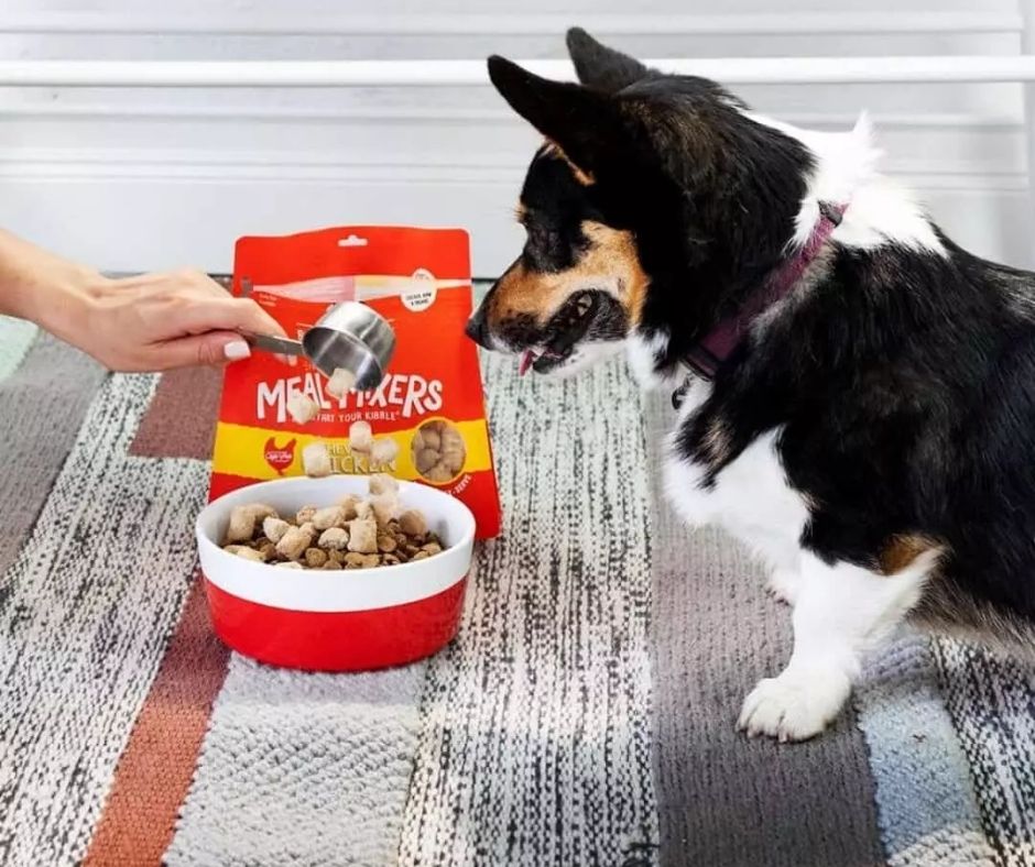 Stella and Chewy's - Chewy’s Chicken Meal Dog Food Mixers