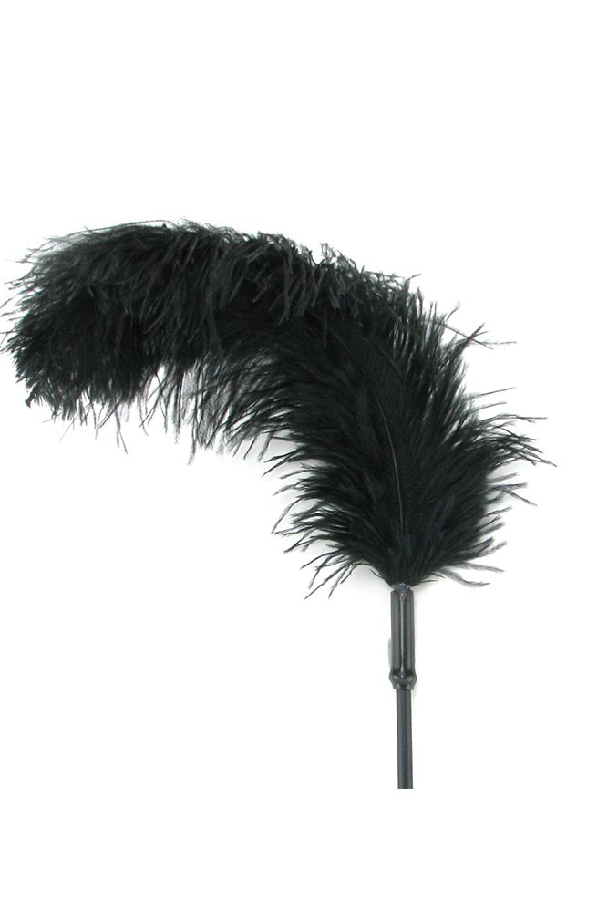 Ostrich Feather Body Tickler in Black