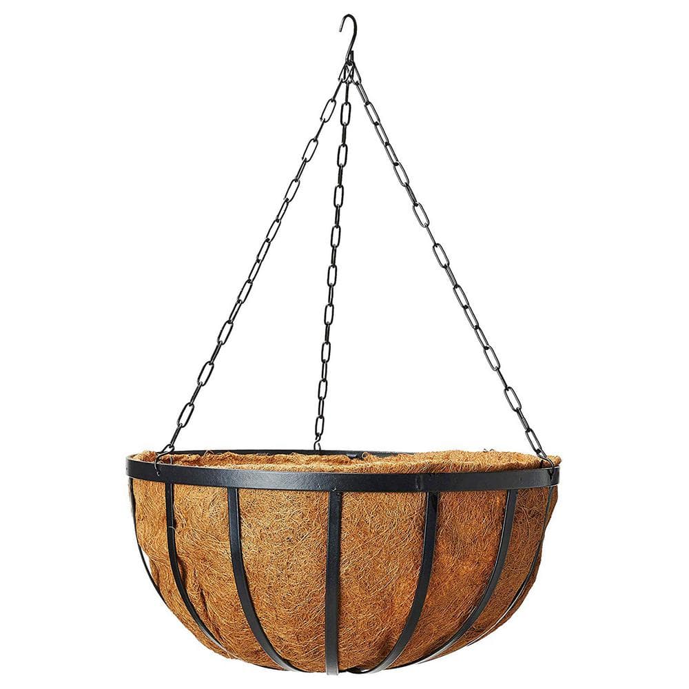 Arcadia Garden Products Solstice 16 in. Black Metal Coconut Hanging Basket 1592