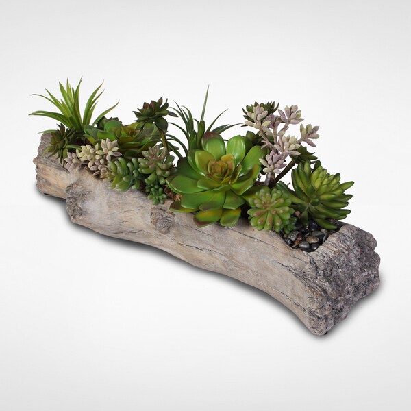 Artificial Succulents with Natural Rocks in a Stone Log