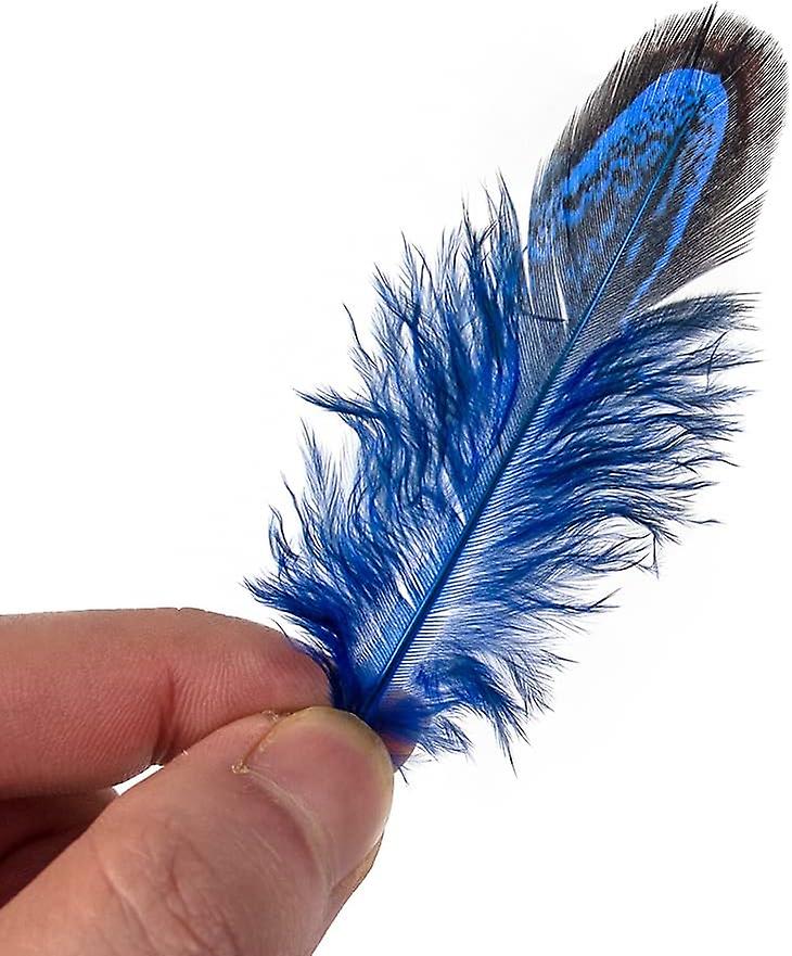 100 Pcs 2-3 Inch Royal Blue Pheasant Feathers Bulk Various Colors Natural Feather Crafts Clothing Hat Sewing Decorating