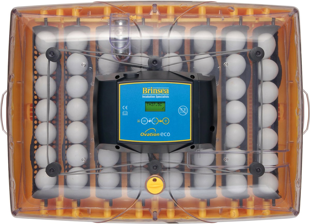 Brinsea Ovation 56 Eco Automatic Bird Egg Incubator