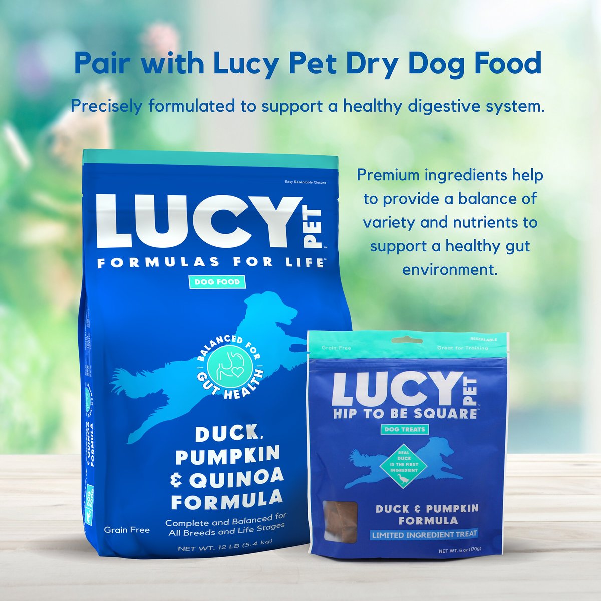 Lucy Pet Products Hip To Be Square Duck and Pumpkin Formula Grain-Free Dog Treats