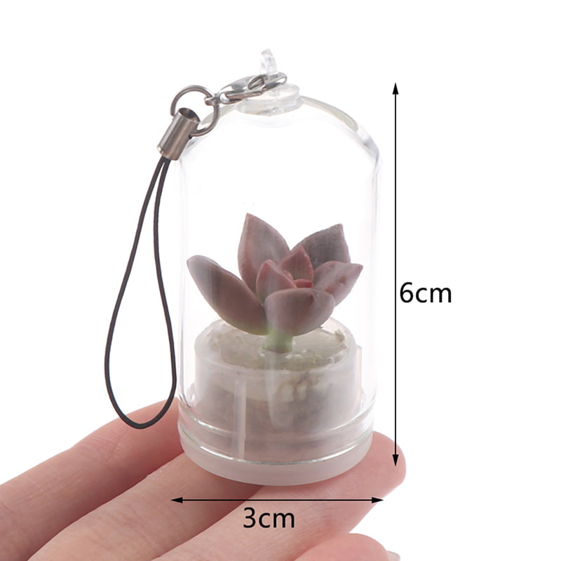 TruPeony Cute Cactus Miniature Succulent Cacti Terrarium Wearable Necklace Live Plant