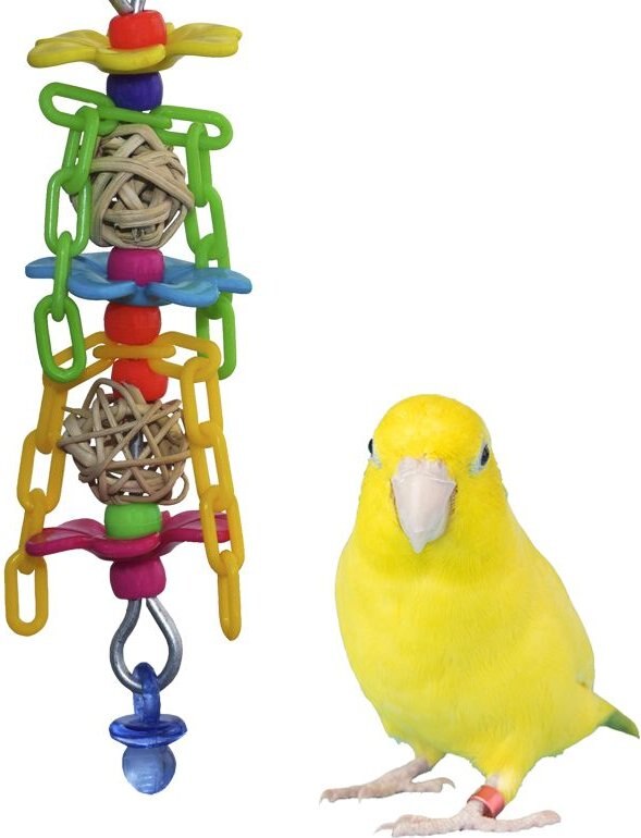 Super Bird Creations Bird Toy Bundle， Small/Medium， 4 count