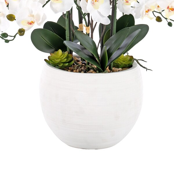 9 Stems Nearly Natural White Phalaenopsis Orchids with Succulents in White Magnesium Oxide Pot