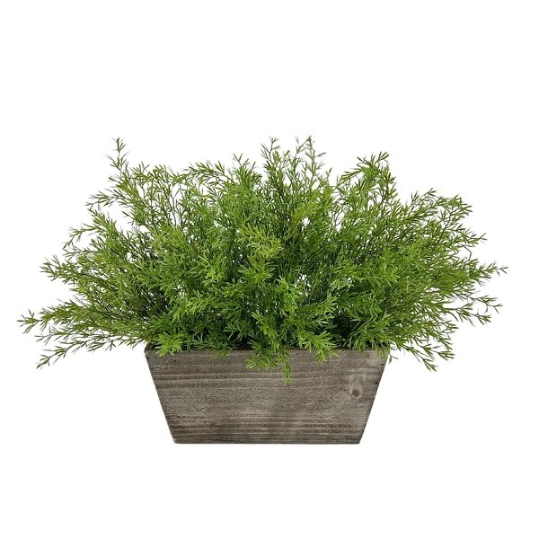 Faux Asparagus Fern in Wood Mini Ledge Planter