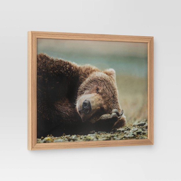 X 16 quot Bear Photography Framed Art Brown