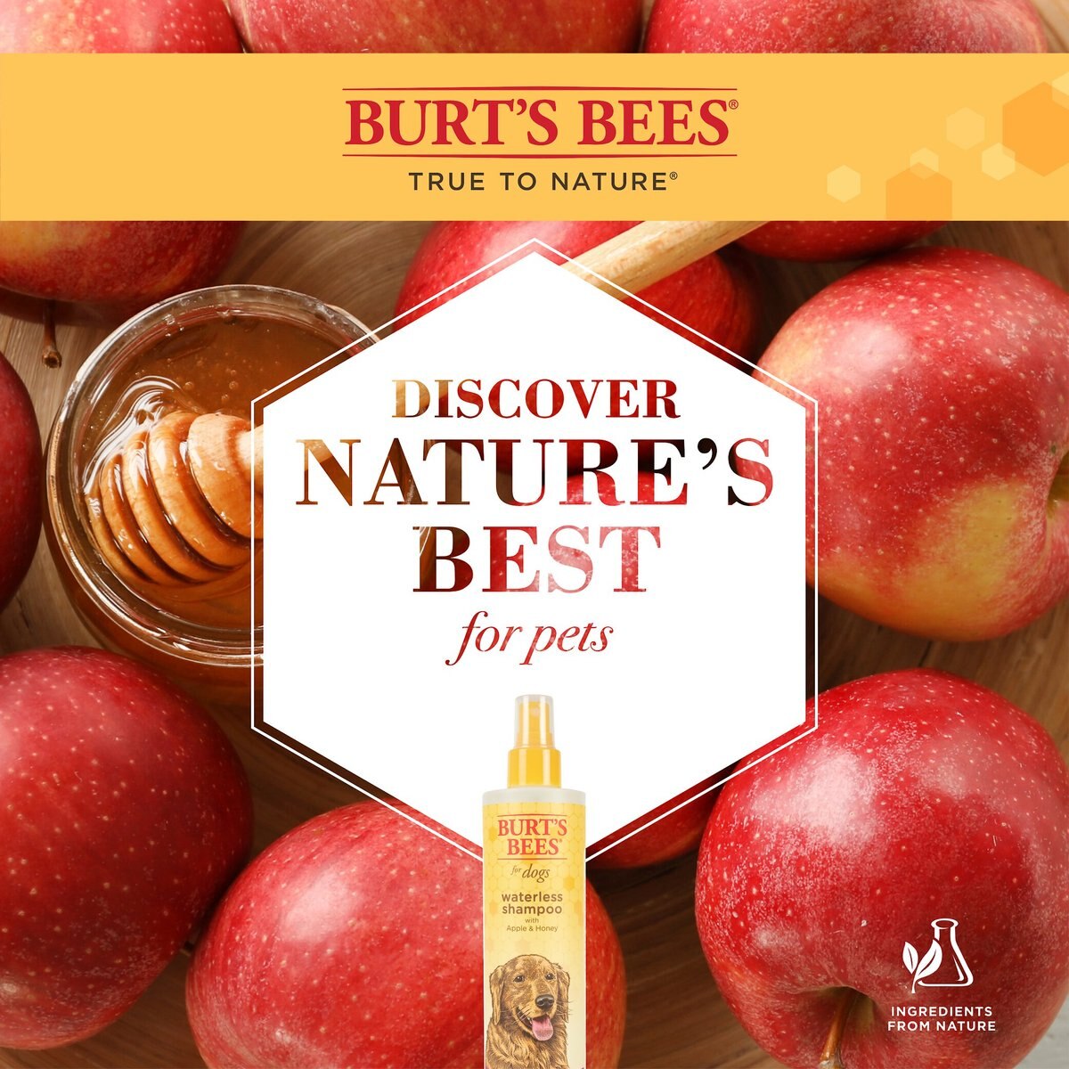 Burt's Bees Waterless Shampoo with Apple and Honey for Dogs