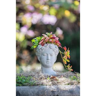 Noble House 6 in. x 9 in. Gray IndoorOutdoor Patio Greek Style Cement Head Planter 111402