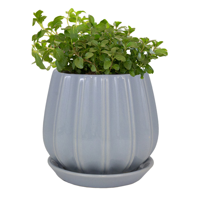 PLANTER CONTOUR BLU 6