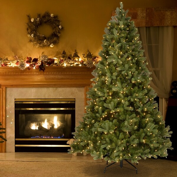 National Tree Company 10 ft. Downswept Douglas Fir Tree with Clear Lights